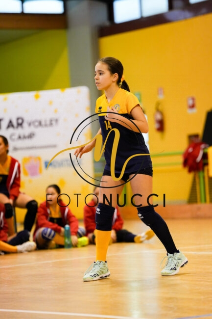PNP01717