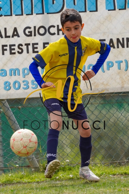 DSC06507