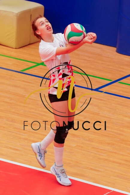 DSC02371