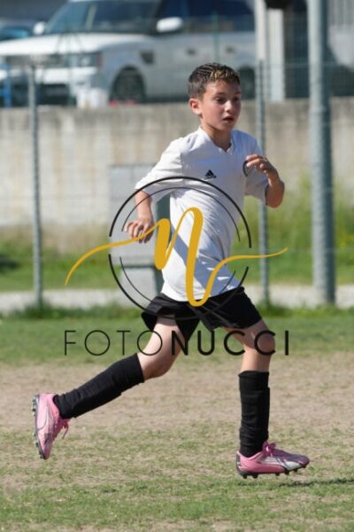 DSC00990